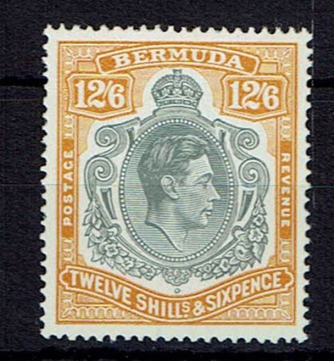 Image of Bermuda 120d UMM
